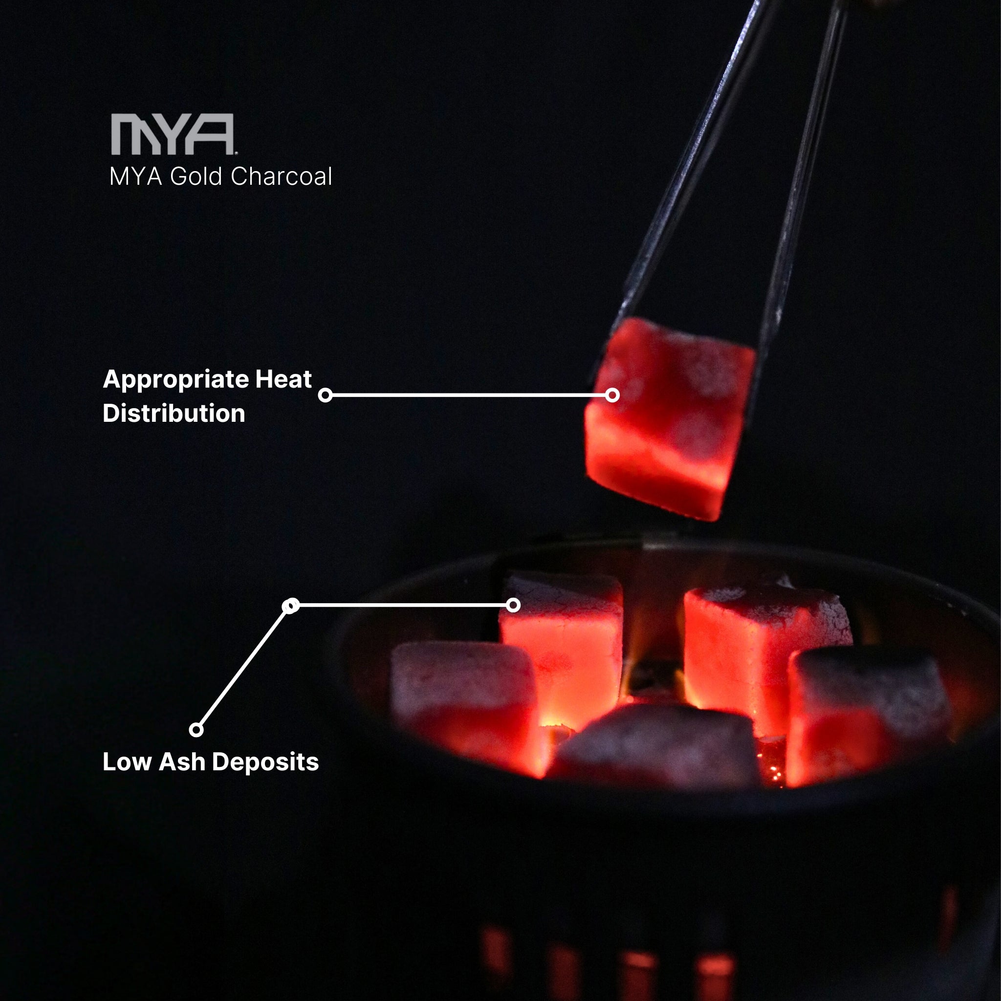 MYA GOLD 64 HOOKAH CHARCOALS