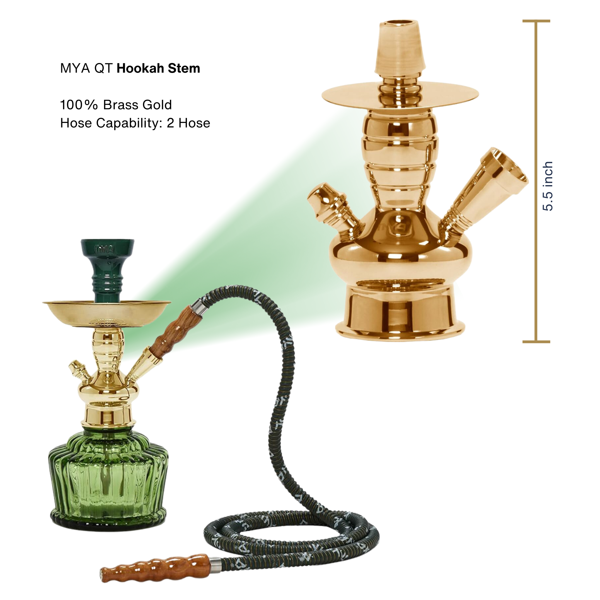 Olive Green QT 263 Gold Stem #color_Olive Green