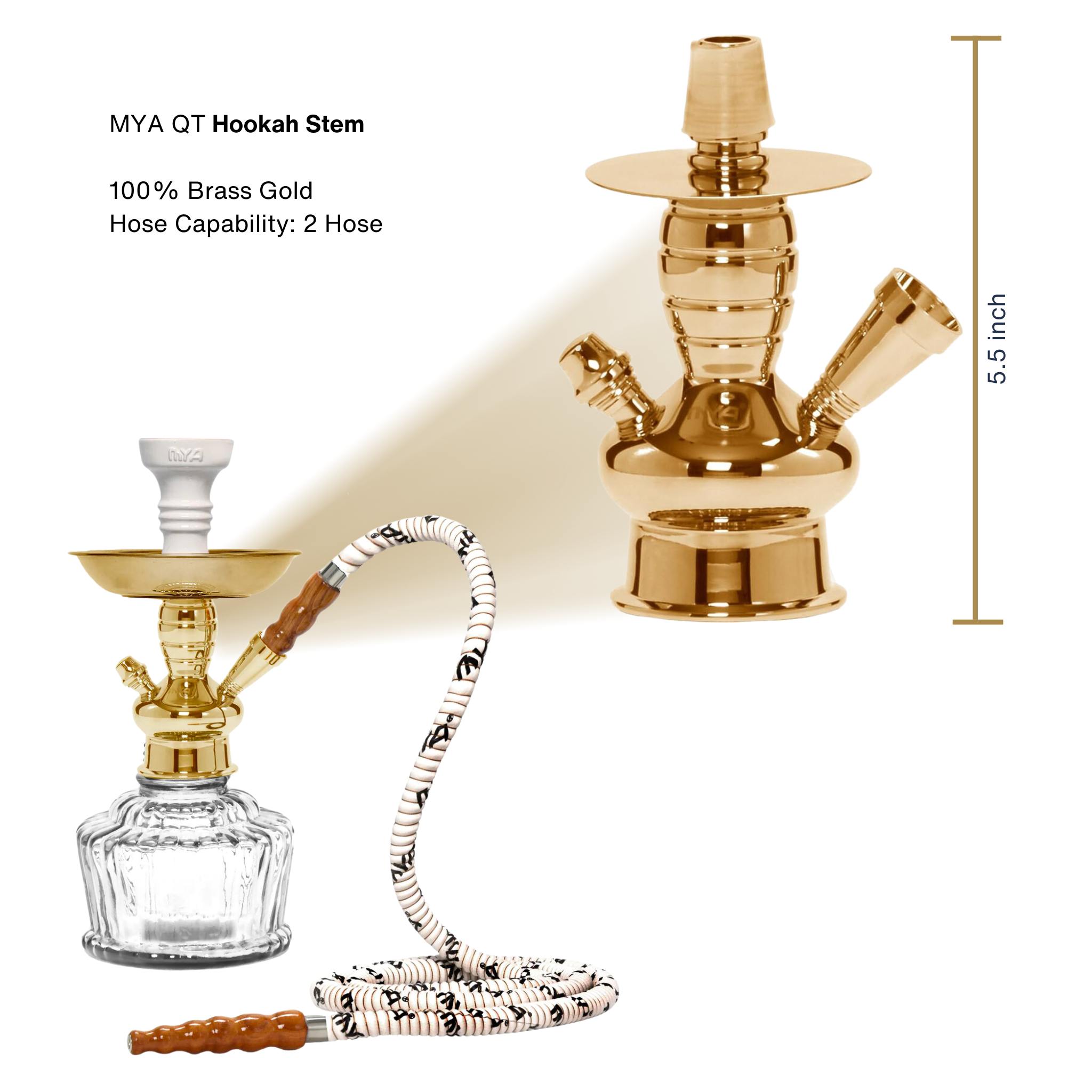 Clear QT 263 Gold Stem #color_Clear