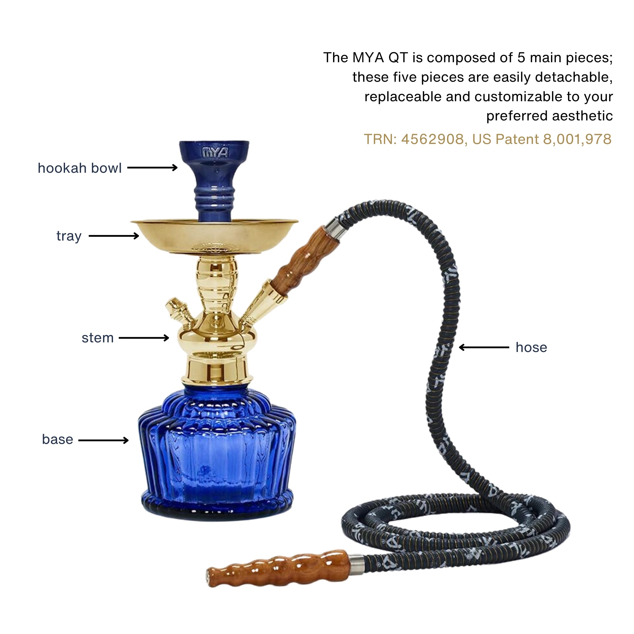 Blue QT 263 Gold Stem #color_Blue