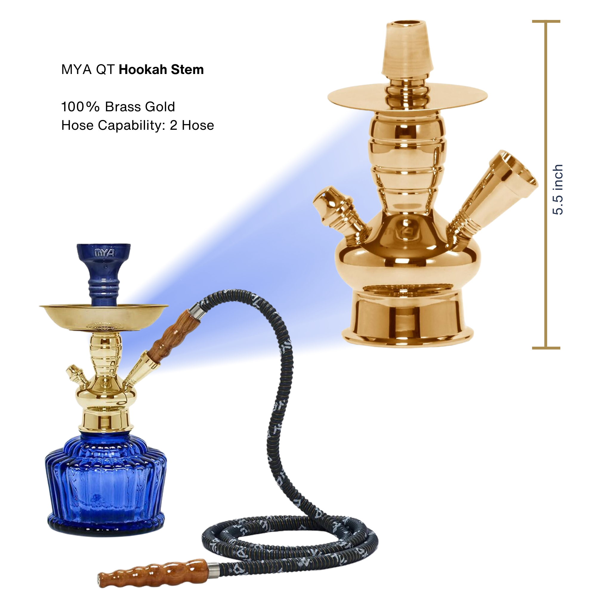 Dark Blue QT 263 Gold Stem #color_Blue