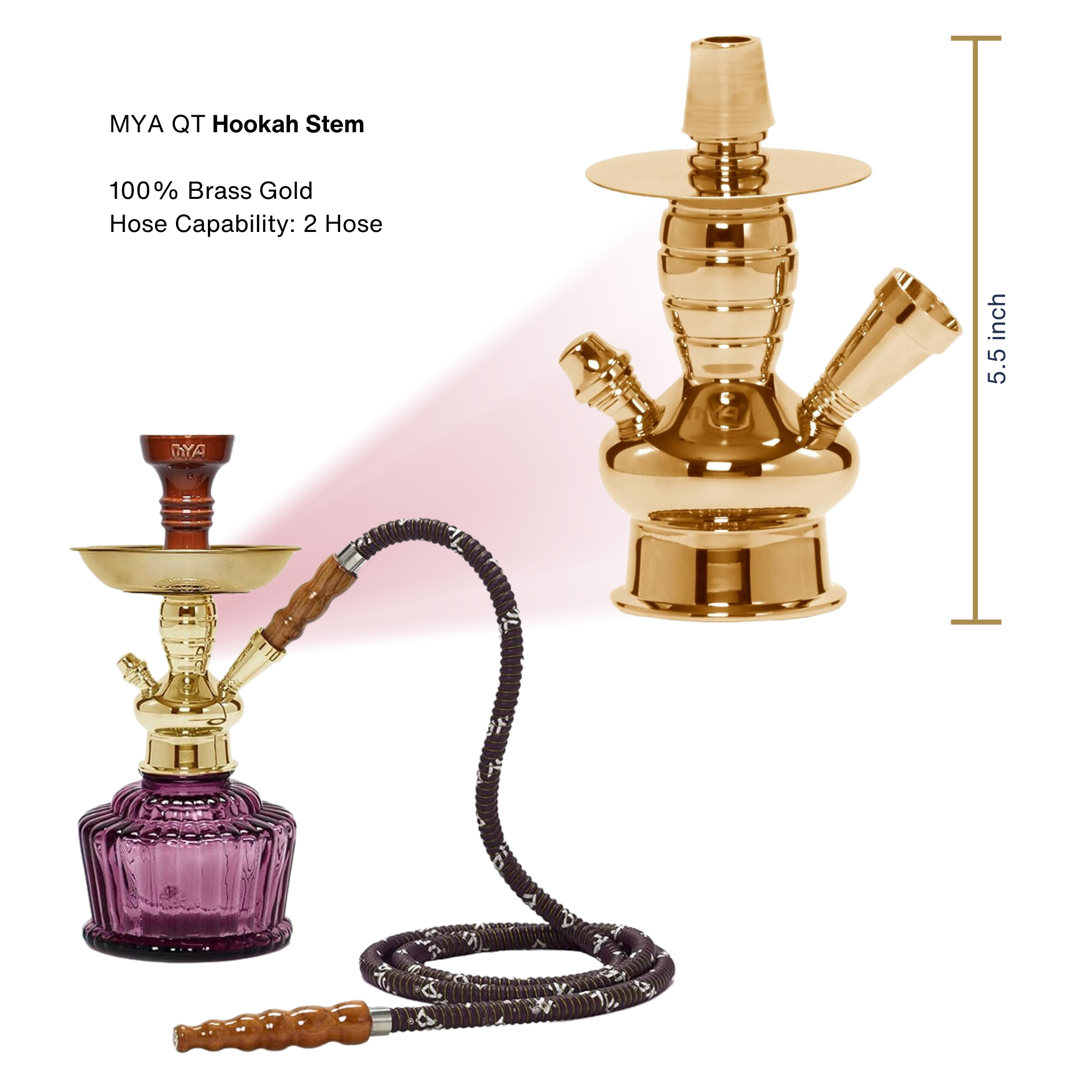 Light Purple QT 263 Gold Stem #color_Light Purple