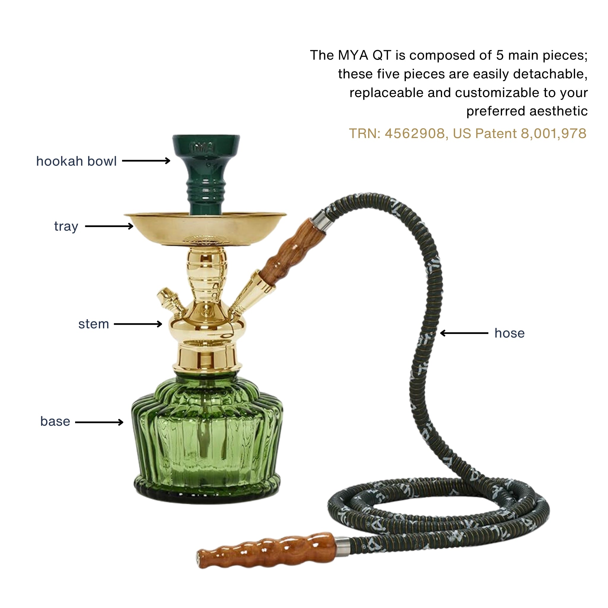 Olive Green QT 263 Gold Stem #color_Olive Green