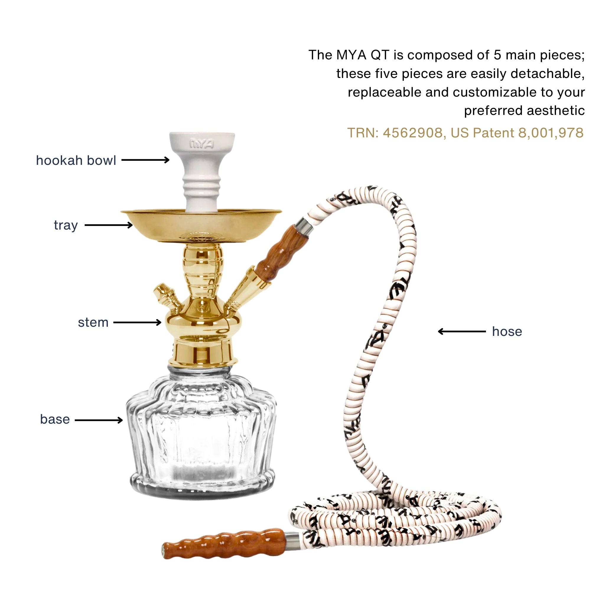 Clear QT 263 Gold Stem #color_Clear