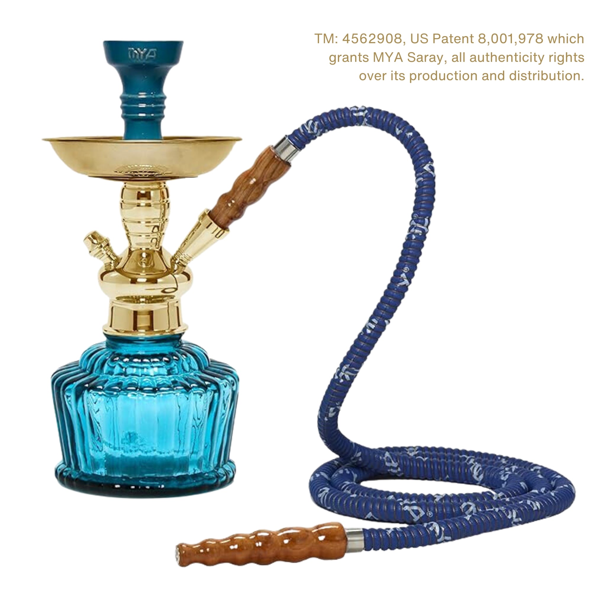 Sky Blue QT 263 Gold Stem #color_Sky Blue