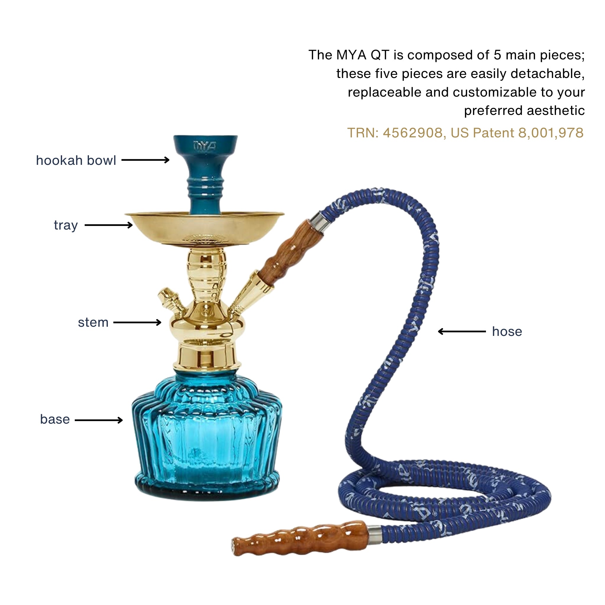 Sky Blue QT 263 Gold Stem #color_Sky Blue