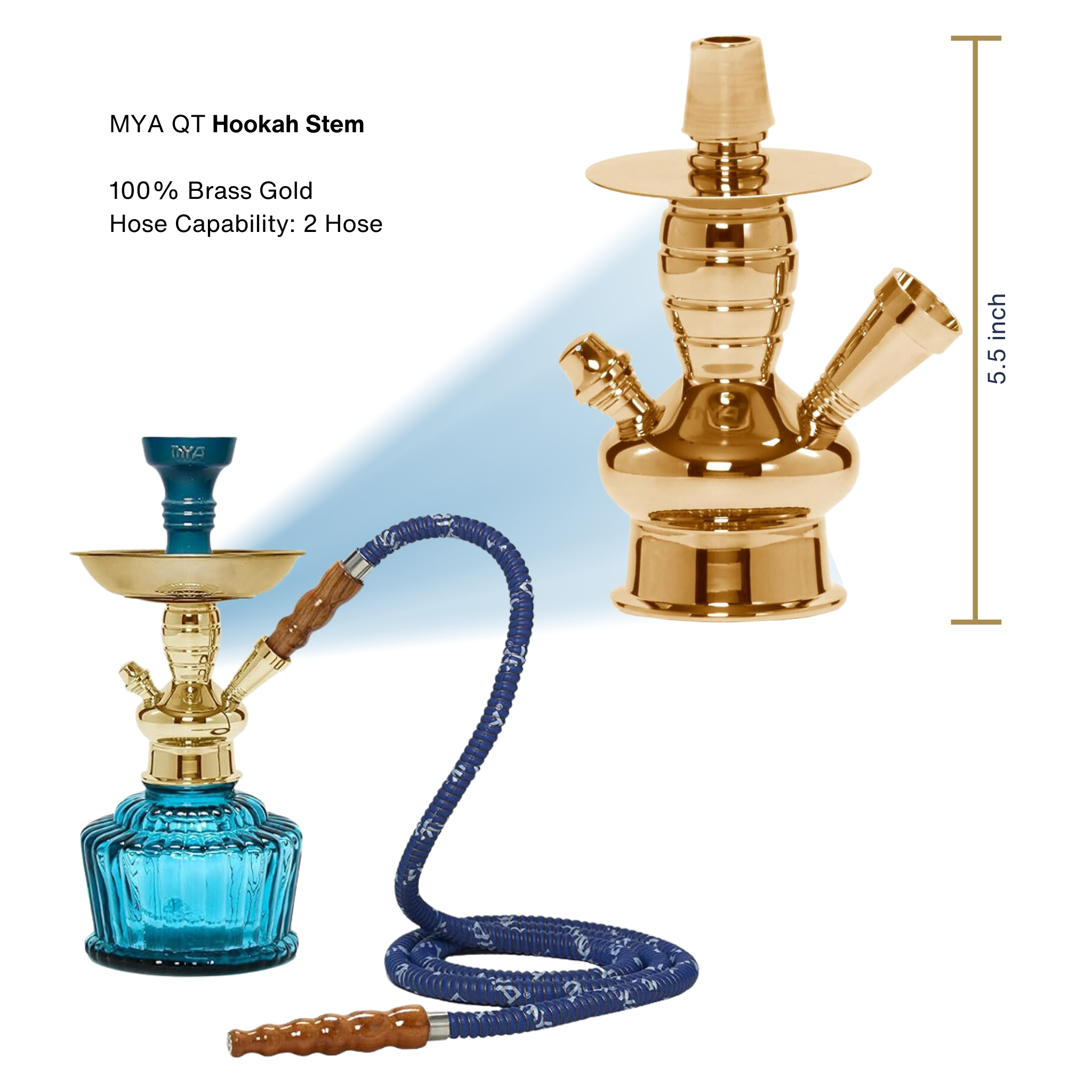 Sky Blue QT 263 Gold Stem #color_Sky Blue